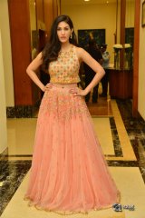 Amyra Dastur at Raju Gadu Movie Pre Release Event